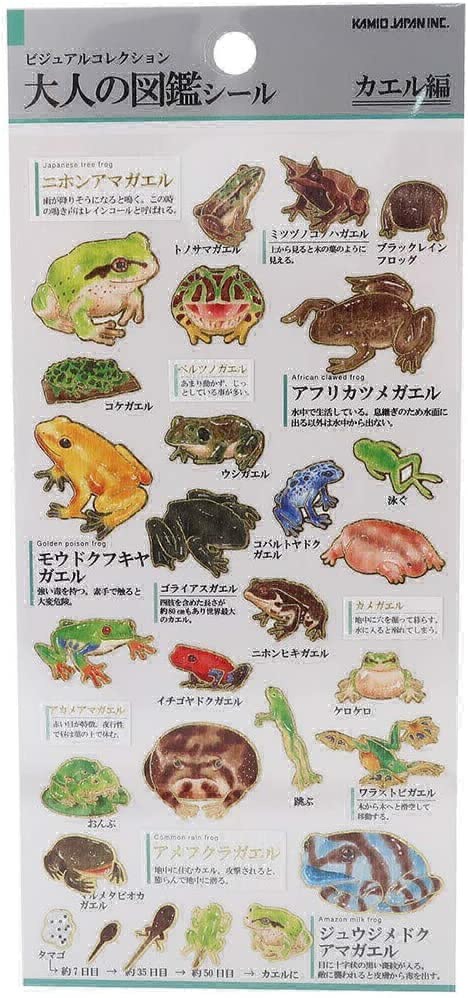 개구리 종류